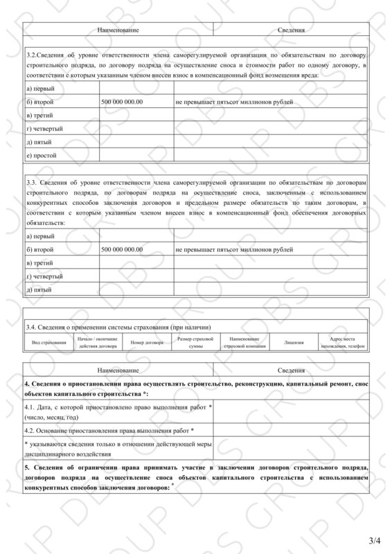 Выписка СРО 04.03.2025-3